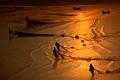 822 - COLLECTING THE NETS - XIA DONGHAI - china